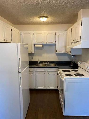 109B-295 Columbia Boulevard West, Lethbridge, AB - Indoor Photo Showing Kitchen With Double Sink