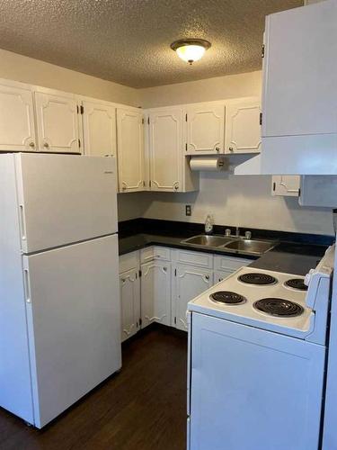 109B-295 Columbia Boulevard West, Lethbridge, AB - Indoor Photo Showing Kitchen With Double Sink