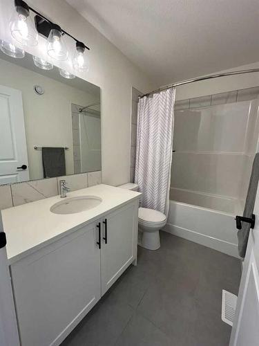 476 Chinook Gate Square Sw, Airdrie, AB - Indoor Photo Showing Bathroom