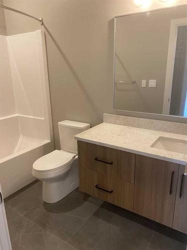 12-102 Scenic Drive North, Lethbridge, AB - Indoor Photo Showing Bathroom