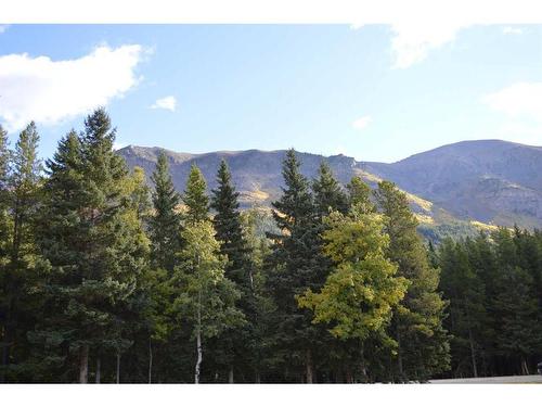 401 Castle Mountain Way, Rural Pincher Creek No. 9, M.D. Of, AB - Outdoor With View