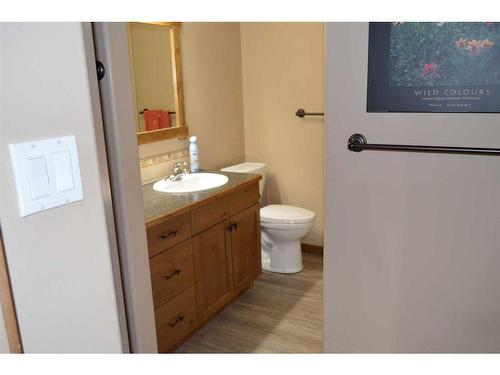 401 Castle Mountain Way, Rural Pincher Creek No. 9, M.D. Of, AB - Indoor Photo Showing Bathroom