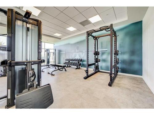 224-102 Scenic Drive North, Lethbridge, AB - Indoor Photo Showing Gym Room