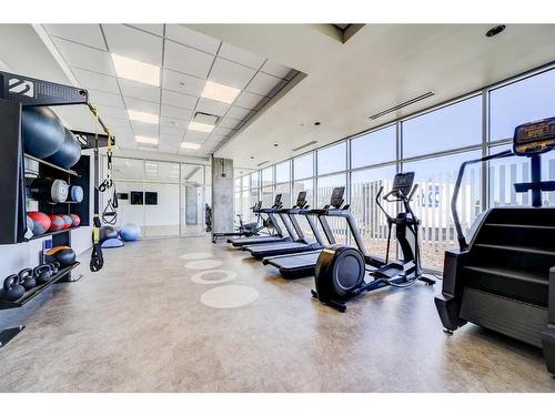 515-102 Scenic Drive North, Lethbridge, AB - Indoor Photo Showing Gym Room