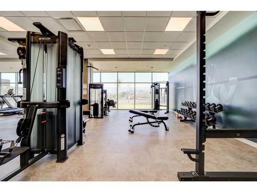 527-102 Scenic Drive North, Lethbridge, AB - Indoor Photo Showing Gym Room