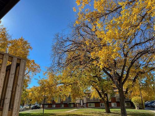 45-5 Acadia Road West, Lethbridge, AB - Outdoor