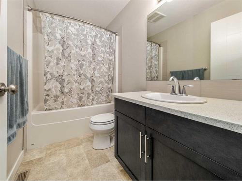 923 Maydell Palmer Vista North, Lethbridge, AB - Indoor Photo Showing Bathroom