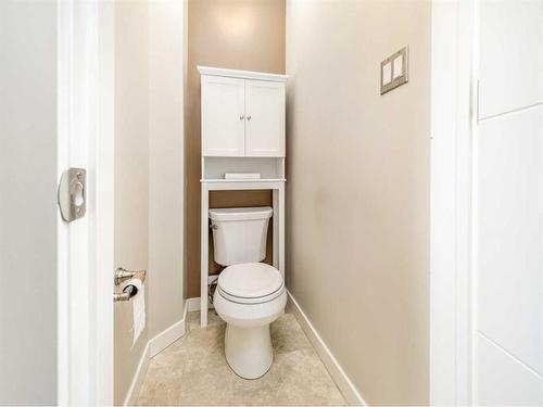 923 Maydell Palmer Vista North, Lethbridge, AB - Indoor Photo Showing Bathroom