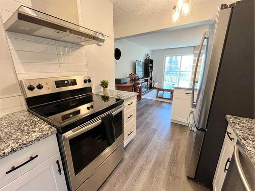 204A-295 Columbia Boulevard West, Lethbridge, AB - Indoor Photo Showing Kitchen