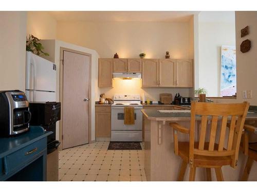 10 Athabasca Way West, Lethbridge, AB - Indoor Photo Showing Kitchen