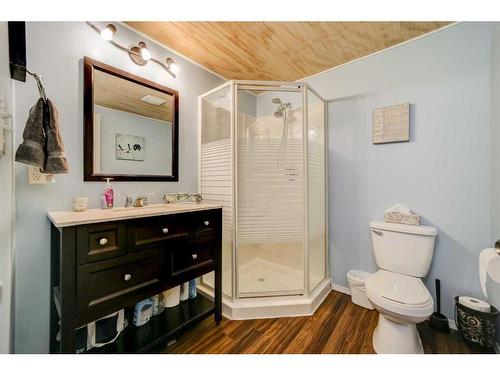 30 Purdue Court West, Lethbridge, AB - Indoor Photo Showing Bathroom