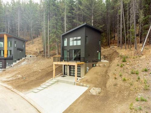 214 Southmore Place, Blairmore, AB - Outdoor