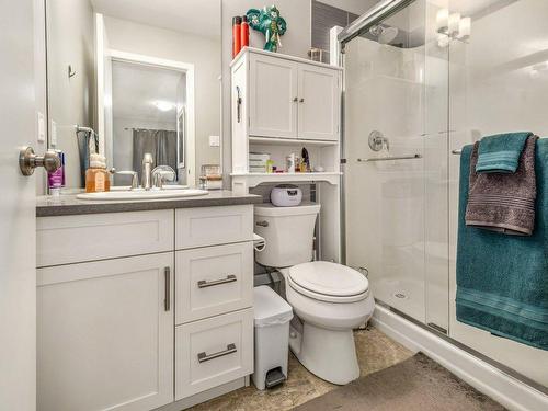 348 Crocus Terrace West, Lethbridge, AB - Indoor Photo Showing Bathroom