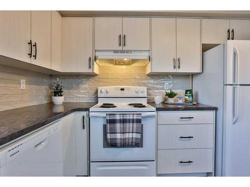 386 Mcmaster Boulevard West, Lethbridge, AB - Indoor Photo Showing Kitchen