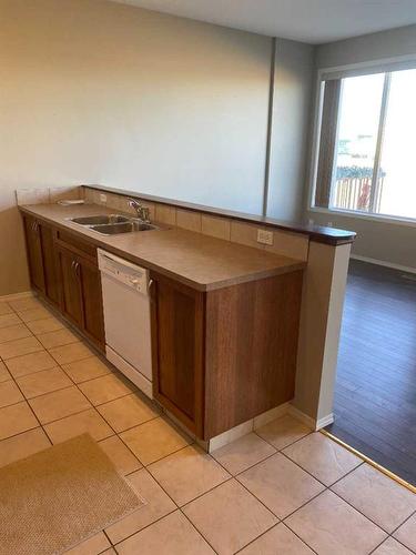 60-295 Blackfoot Road West, Lethbridge, AB - Indoor Photo Showing Kitchen With Double Sink