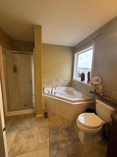 724 Florence Ho Leong Crescent North, Lethbridge, AB - Indoor Photo Showing Bathroom