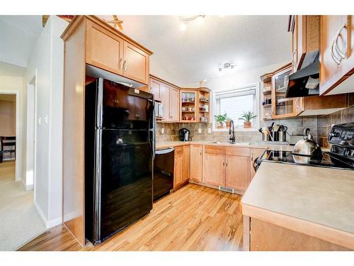 351 Mt Sunburst Way West, Lethbridge, AB - Indoor Photo Showing Kitchen