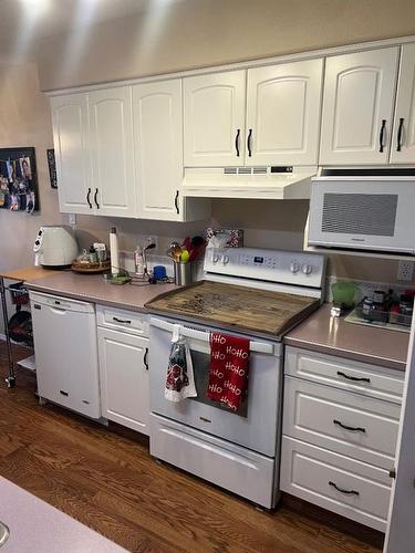 157 Stafford Boulevard North, Lethbridge, AB - Indoor Photo Showing Kitchen