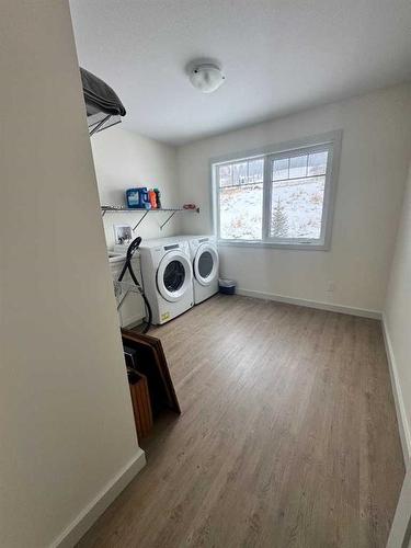 61 Ironstone Drive, Coleman, AB - Indoor Photo Showing Laundry Room