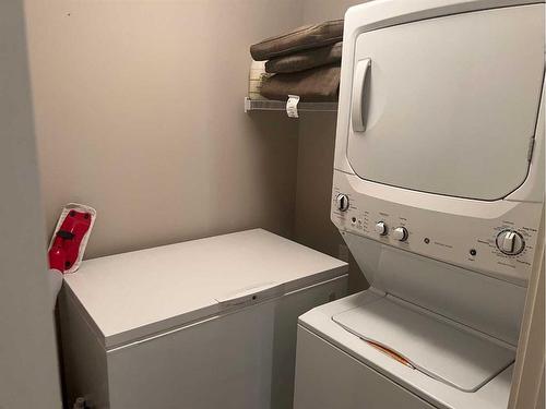 209-173 Fairmont Boulevard South, Lethbridge, AB - Indoor Photo Showing Laundry Room