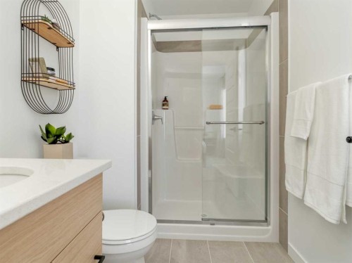 689 Blackwolf Boulevard North, Lethbridge, AB - Indoor Photo Showing Bathroom