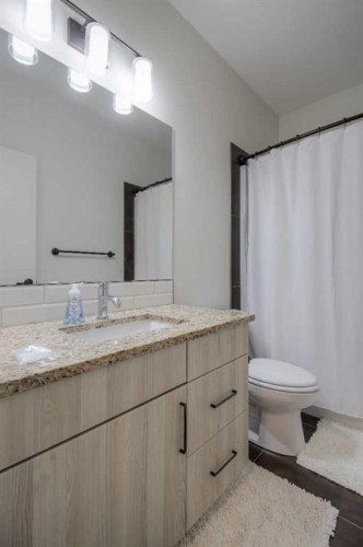 1-270 Couleesprings Terrace South, Lethbridge, AB - Indoor Photo Showing Bathroom