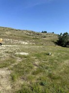 385 Canyon Boulevard WEST Lethbridge, AB T1K 6V2