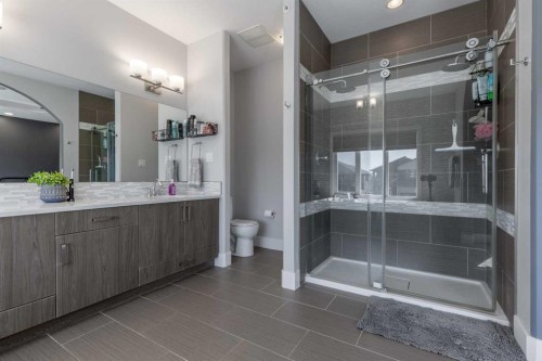 5401 43 Street, Taber, AB - Indoor Photo Showing Bathroom