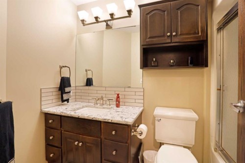 201076 Range Road 142, Rural Newell, County Of, AB - Indoor Photo Showing Bathroom