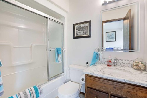 201076 Range Road 142, Rural Newell, County Of, AB - Indoor Photo Showing Bathroom