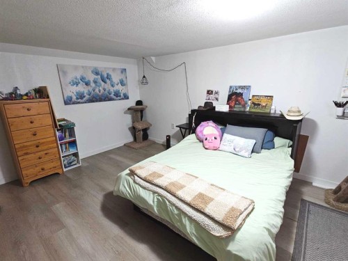 125 Sherwood Place West, Lethbridge, AB - Indoor Photo Showing Bedroom