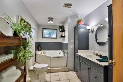 203037 Twp Rd 174, Rural Vulcan County, AB - Indoor Photo Showing Bathroom
