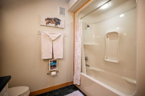 107 Mount View, Waterton Park, AB - Indoor Photo Showing Bathroom