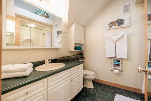107 Mount View, Waterton Park, AB - Indoor Photo Showing Bathroom
