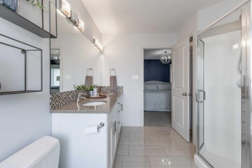 428 Sixmile Cove South, Lethbridge, AB - Indoor Photo Showing Bathroom