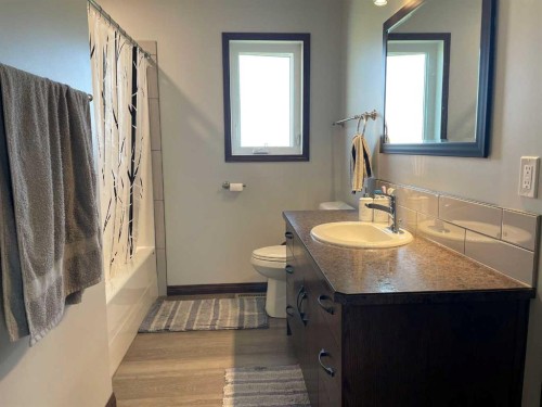 131010 Range Road 163, Vauxhall, AB - Indoor Photo Showing Bathroom
