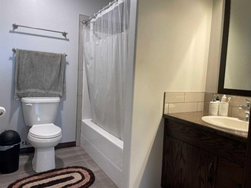 131010 Range Road 163, Vauxhall, AB - Indoor Photo Showing Bathroom
