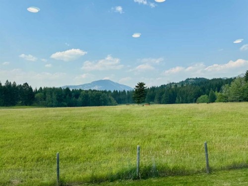 21426 29 Avenue, Bellevue, AB - Outdoor With View