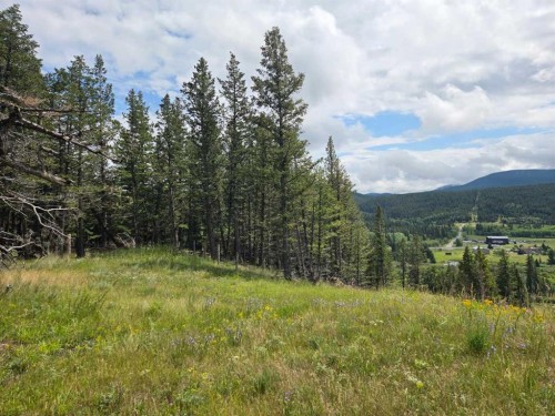 #4-5302 19Th Avenue, Coleman, AB 