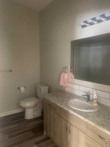 325 5 Street, Vauxhall, AB - Indoor Photo Showing Bathroom