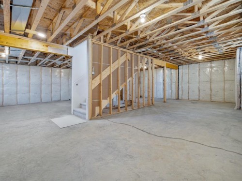 405 Blackwolf Boulevard North, Lethbridge, AB - Indoor Photo Showing Basement