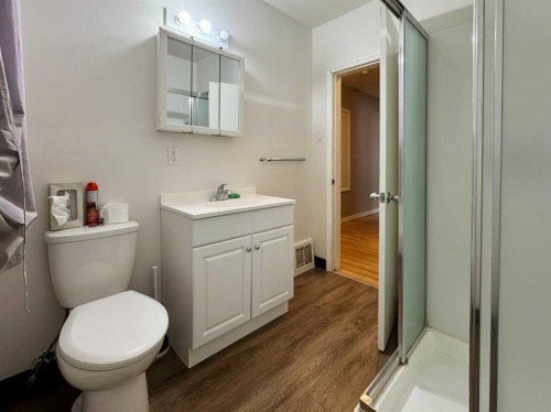 537 23 Street South, Lethbridge, AB - Indoor Photo Showing Bathroom