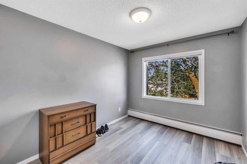 303-11445 41 Avenue Nw, Edmonton, AB - Indoor Photo Showing Other Room