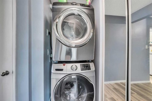 303-11445 41 Avenue Nw, Edmonton, AB - Indoor Photo Showing Laundry Room