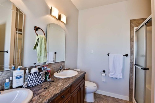 244 Sixmile Common South, Lethbridge, AB - Indoor Photo Showing Bathroom