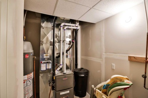 244 Sixmile Common South, Lethbridge, AB - Indoor Photo Showing Basement