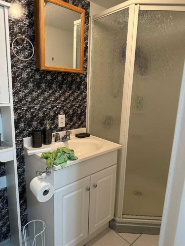 104 Chapman Avenue, Grassy Lake, AB - Indoor Photo Showing Bathroom