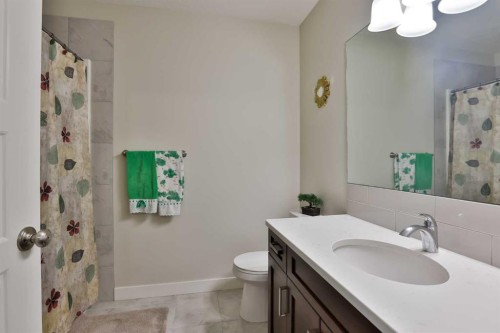 21 Riverford Close West, Lethbridge, AB - Indoor Photo Showing Bathroom