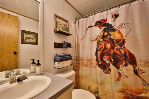 225075 Twp Rd 55, Magrath, AB - Indoor Photo Showing Bathroom