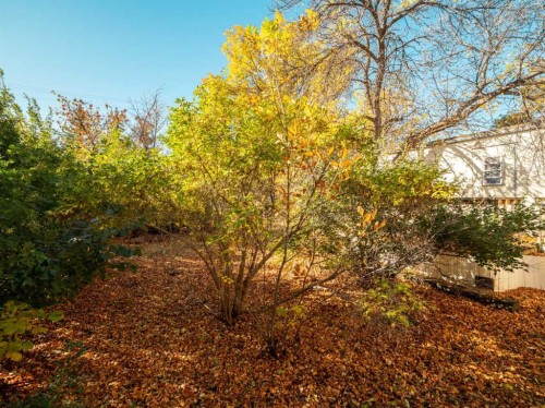 404 5 Avenue, Warner, AB - Outdoor With View